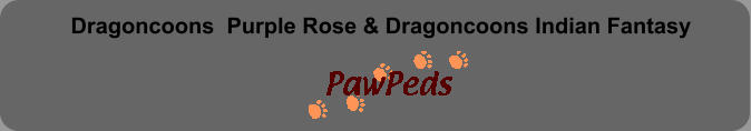Dragoncoons  Purple Rose & Dragoncoons Indian Fantasy